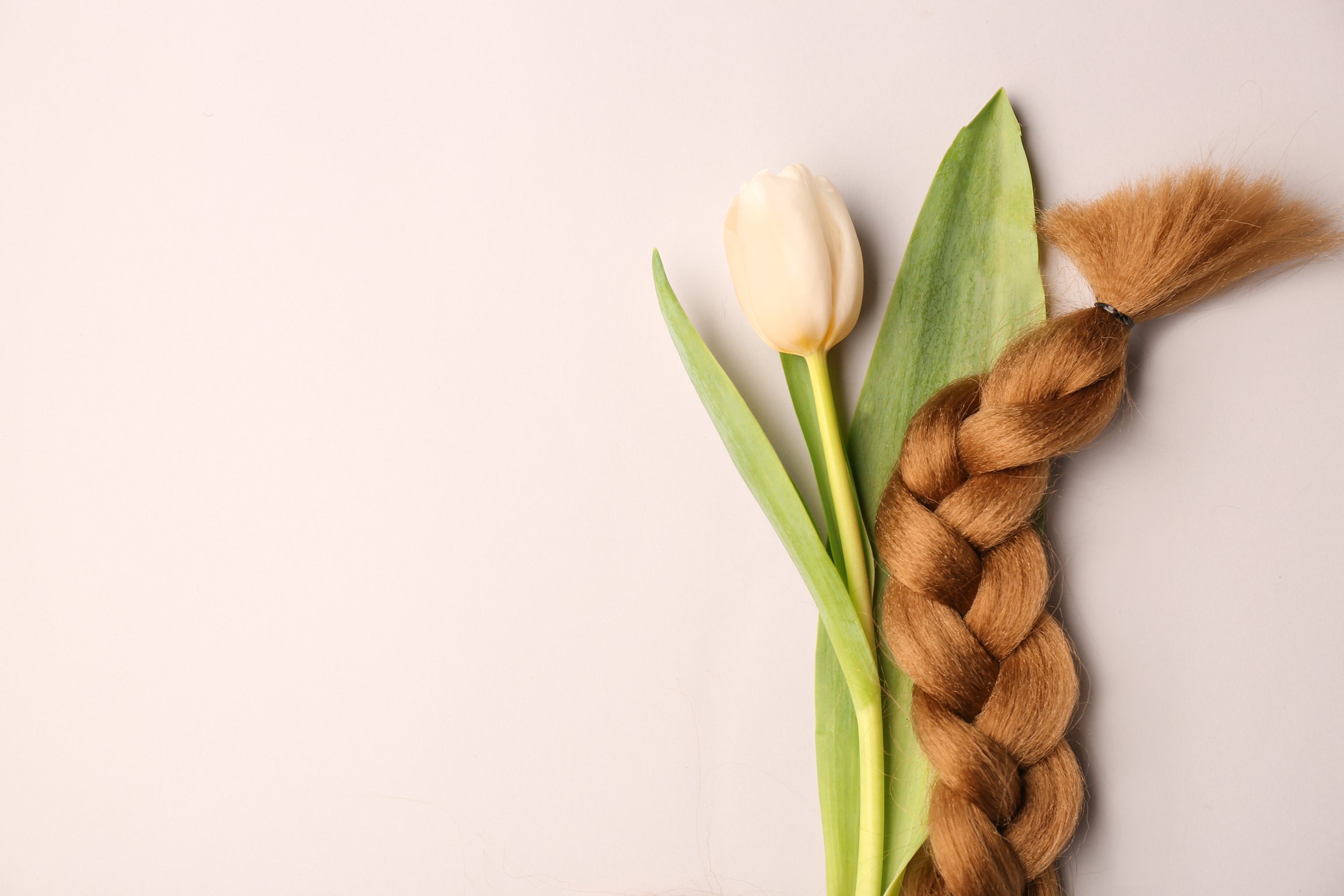 Braided Strand and Flower on Light Background. Concept of Hair Donation